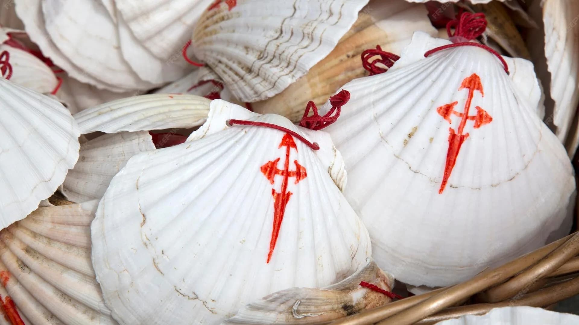 Concha del Camino de Santiago